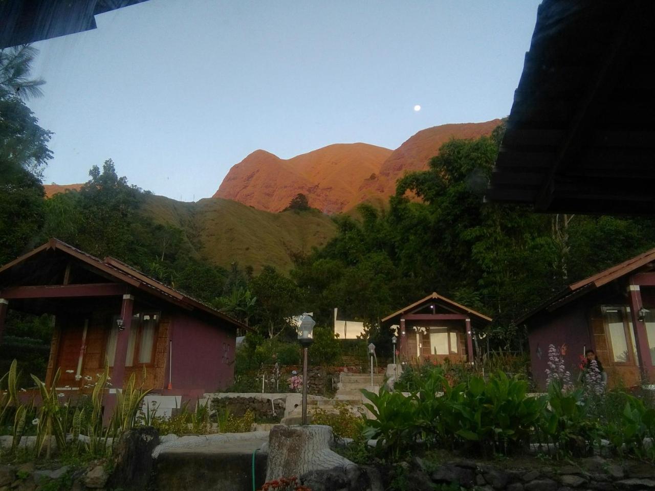 Sembalun Kita Cottage Sembalunlawang Eksteriør bilde
